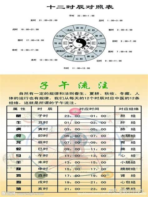 寅卯辰年|天支地支 十二时辰对照表